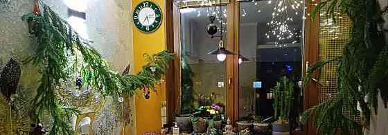 Комната, 10 м2, 9/9 эт. Санкт-Петербург