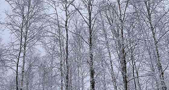 Дом, 84 м2, 12 соток, 2 эт. Кириши