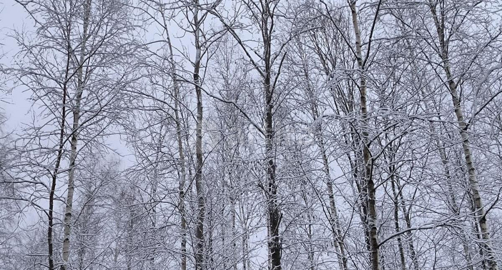 Дом, 84 м2, 12 соток, 2 эт. Кириши - изображение 3