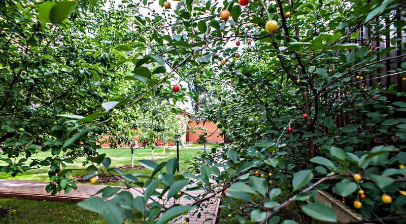 Дом, 400 м2 Малаховка - изображение 18