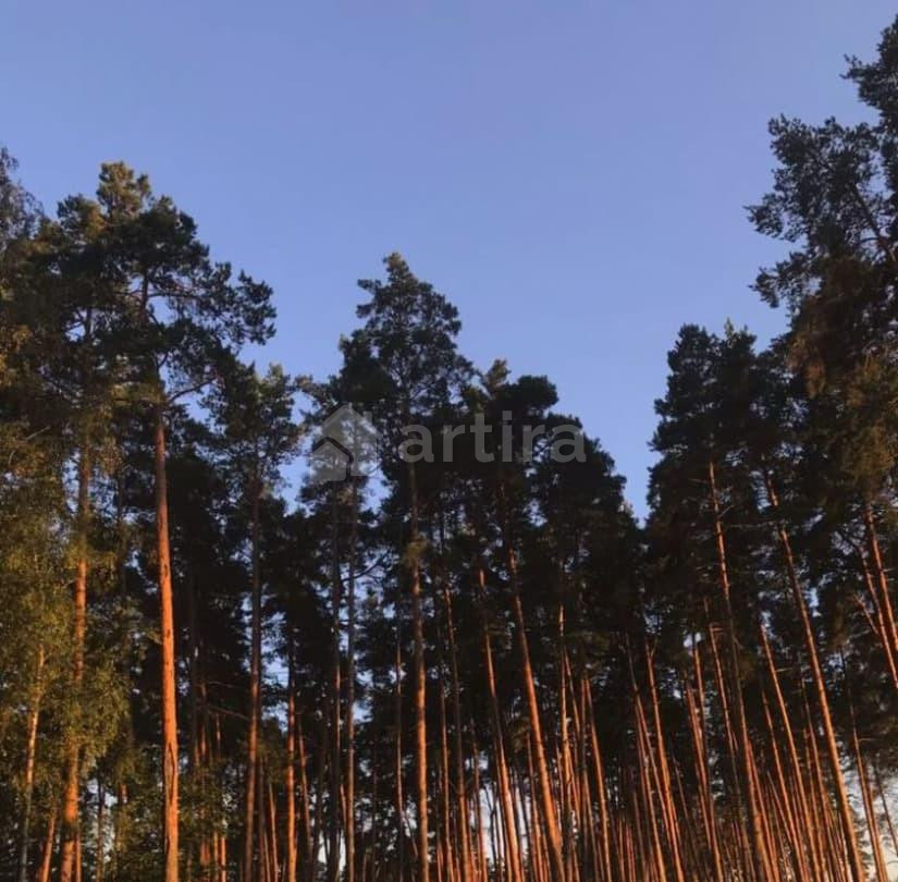 Дом, 200 м2, 10 соток, 2 эт. Большое Козино - изображение 1