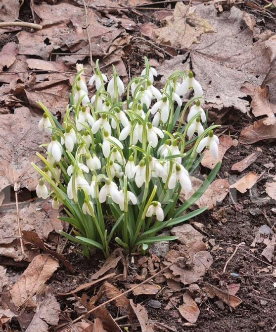 3-комн. квартира, 77.3 м2, 1/8 эт. Москва - изображение 7