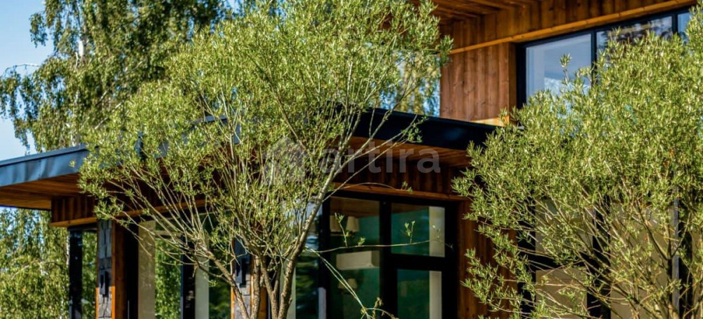 Дом, 270 м2, 15 соток, 1 эт. Санкт-Петербург - изображение 6