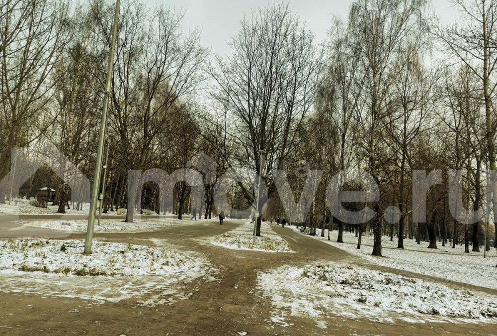 Студия, 17 м2, 1/12 эт. Москва - изображение 3