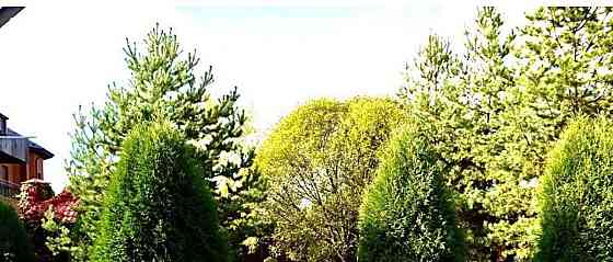 Дом, 250 м2, 10 соток, 2 эт. Одинцово