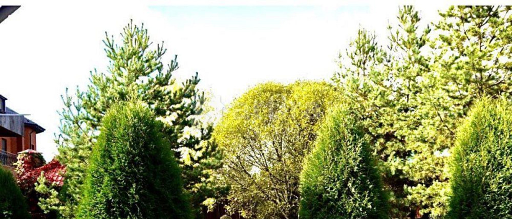 Дом, 250 м2, 10 соток, 2 эт. Одинцово - изображение 6