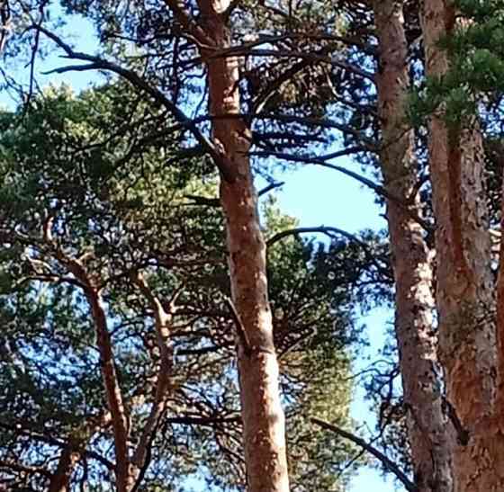 Комната, 17 м2, 2/5 эт. Миасс