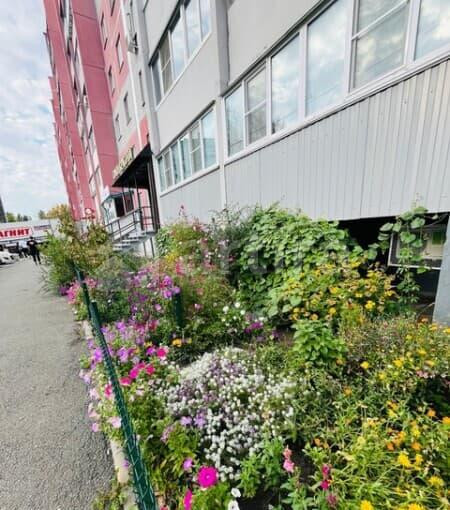 3-комн. квартира, 65 м2, 1/11 эт. Челябинск - изображение 12