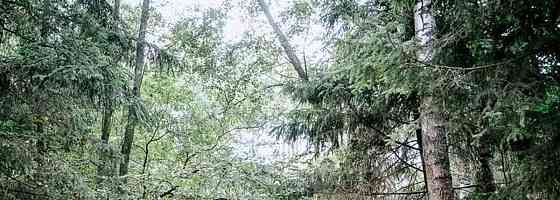 Дом, 420 м2, 10 соток, 1 эт. Одинцово