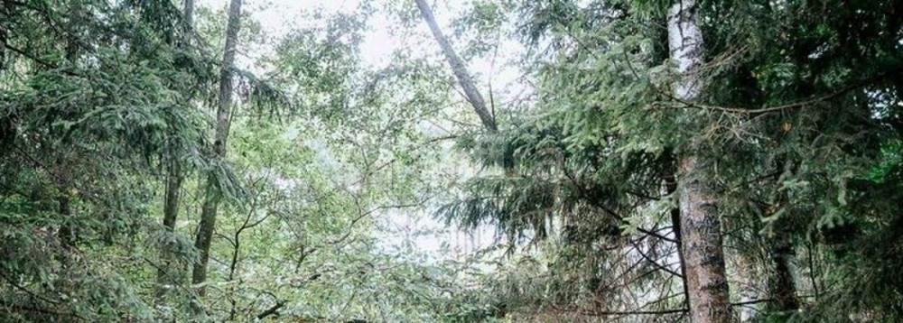 Дом, 420 м2, 10 соток, 1 эт. Одинцово - изображение 1