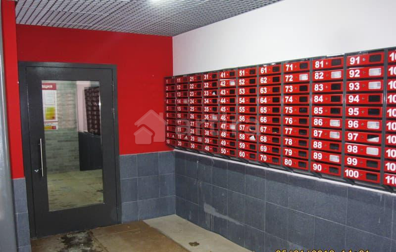 Студия, 27 м2, 1/17 эт. Воронеж - изображение 3