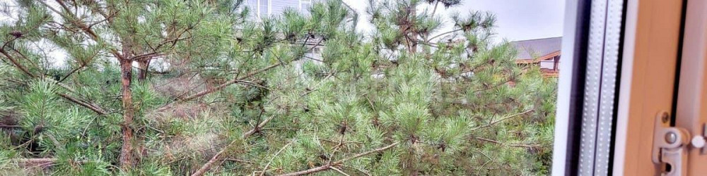 Дом, 105 м2, 9.5 сотки, 1 эт. Солнечногорск - изображение 2