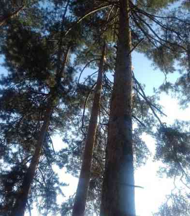 Коттедж, 210 м2, 8 соток Ильинский