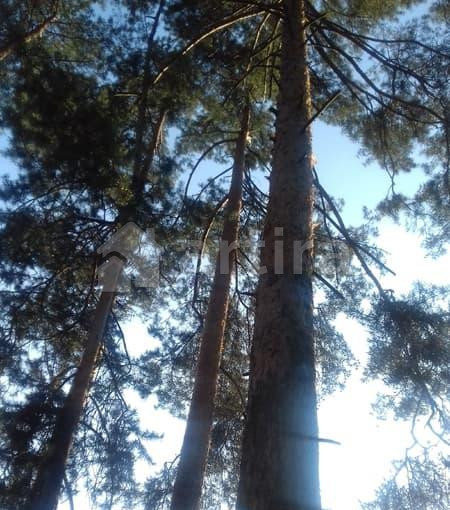 Коттедж, 210 м2, 8 соток Ильинский - изображение 6