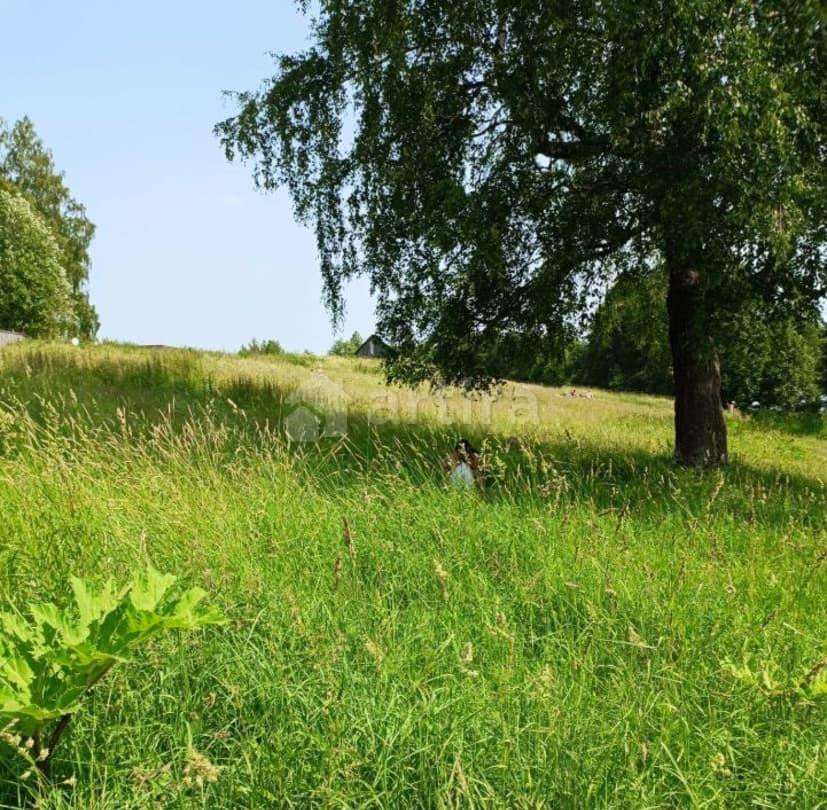 Коттедж, 80 м2, 30 соток, 2 эт. Сосново - изображение 6