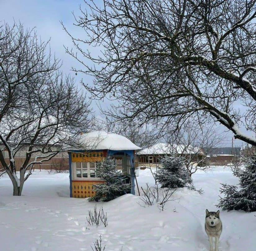 Дом, 120 м2, 15 соток, 1 эт. Ногинск - изображение 6