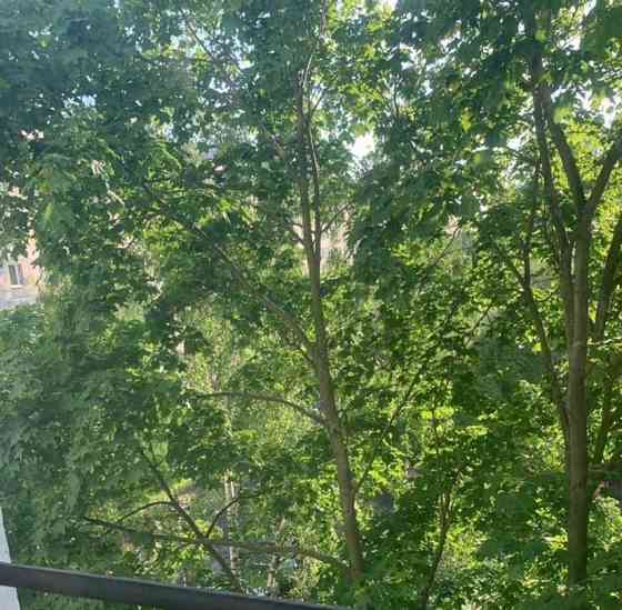 Комната, 11.7 м2, 6/9 эт. Москва