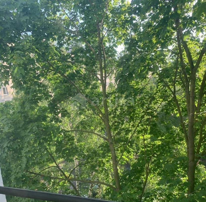 Комната, 11.7 м2, 6/9 эт. Москва - изображение 4