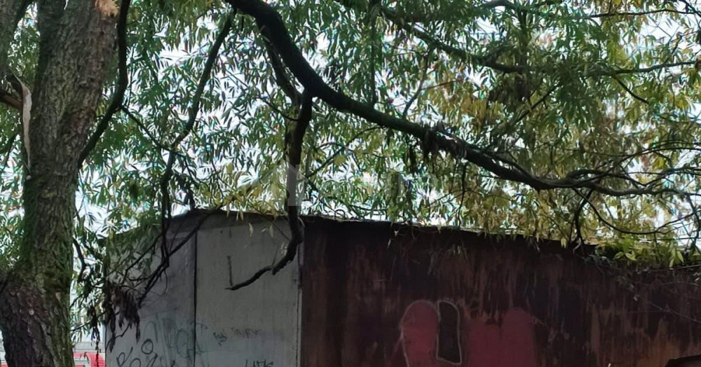 Гараж, 18 м2 Брянск - изображение 1