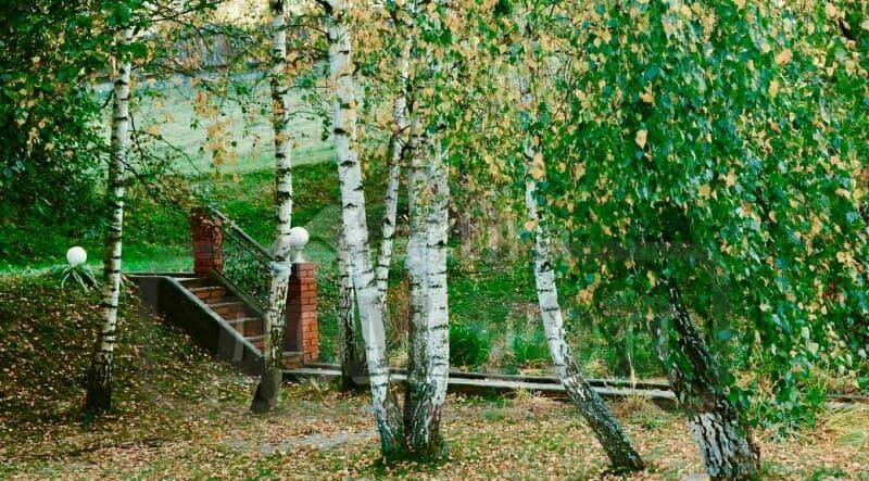 Коттедж, 850 м2 Видное - изображение 5