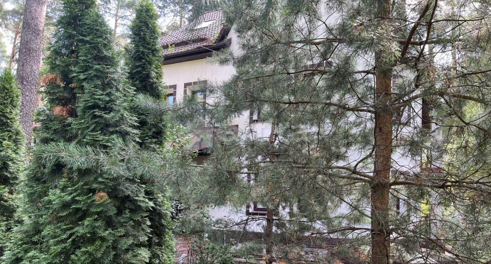 Дом, 507 м2, 40 соток, 4 эт. Раменское - изображение 4