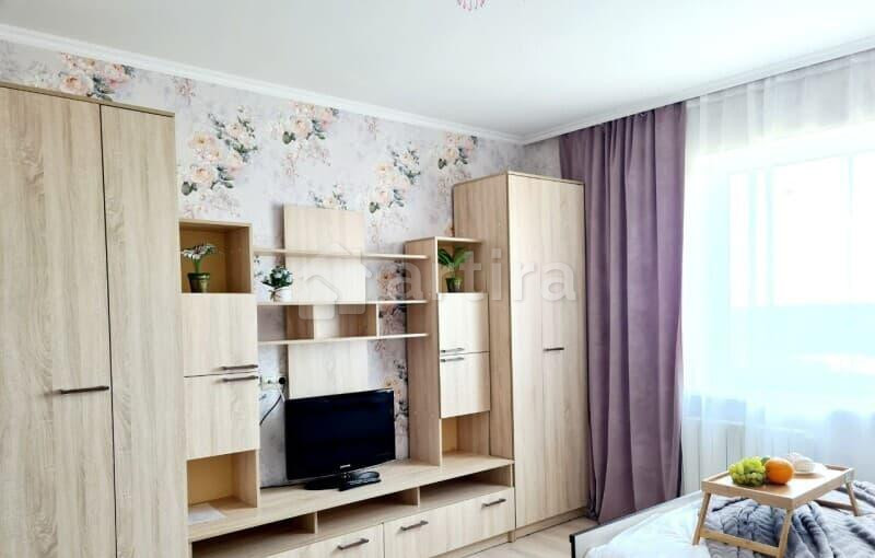 Студия, 24 м2, 14/17 эт. Домодедово - изображение 6