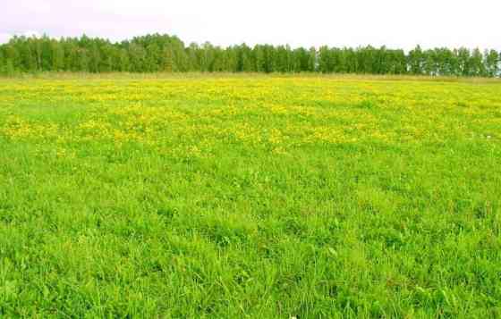 Коммерческий участок, 162 га Камышлов