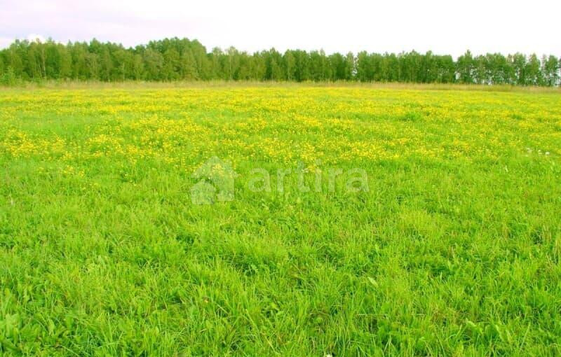 Коммерческий участок, 162 га Камышлов - изображение 1