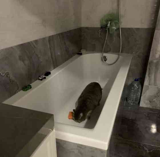 Коттедж, 170 м2, 14 соток, 2 эт. Червишево