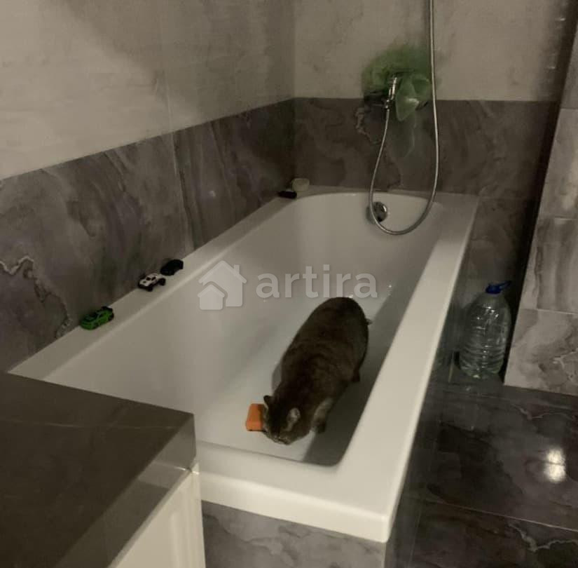 Коттедж, 170 м2, 14 соток, 2 эт. Червишево - изображение 4