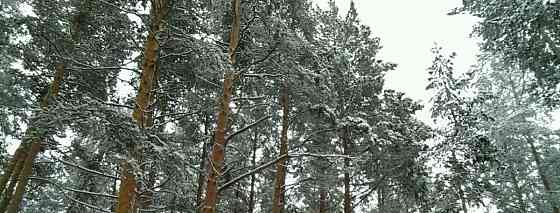 Дом, 100 м2, 1 га, 2 эт. Сысерть