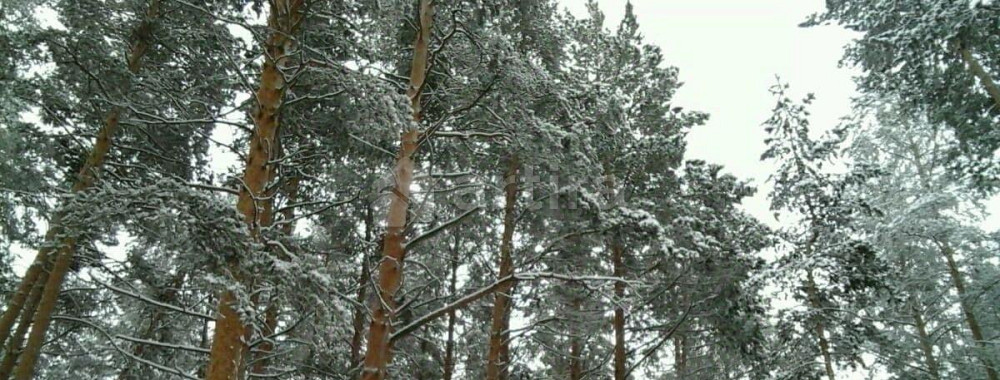 Дом, 100 м2, 1 га, 2 эт. Сысерть - изображение 1