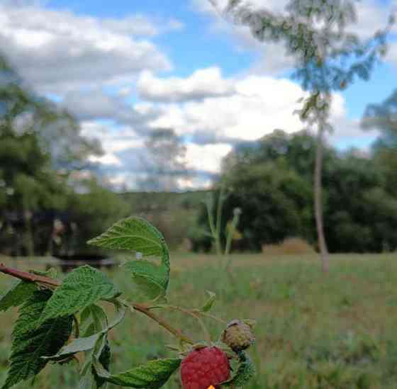 Коттедж, 180 м2, 15 соток, 2 эт. Таруса