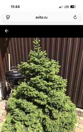 Таунхаус, 120 м2, 4 сотки Видное