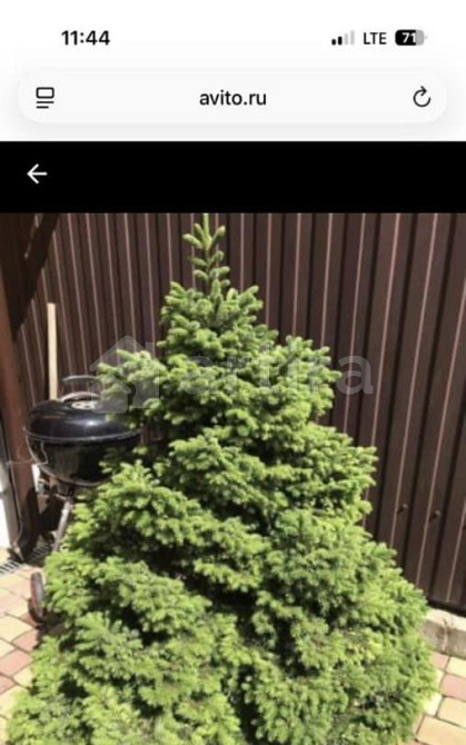 Таунхаус, 120 м2, 4 сотки Видное - изображение 5