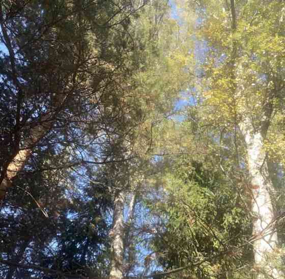 Дом, 95 м2, 8 соток, 2 эт. Одинцово