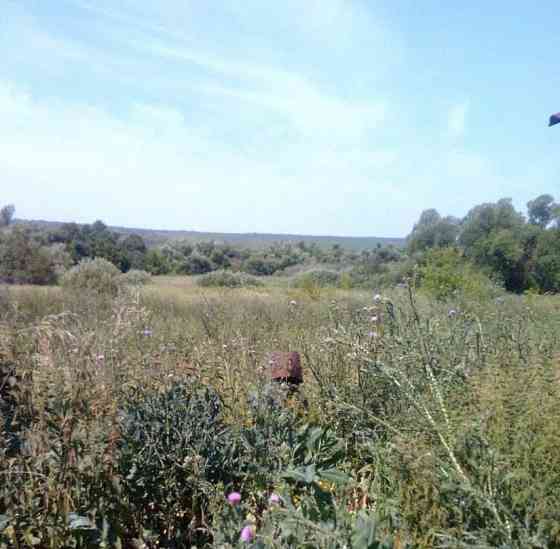 Дом, 55 м2, 15 соток, 1 эт. Похвистнево