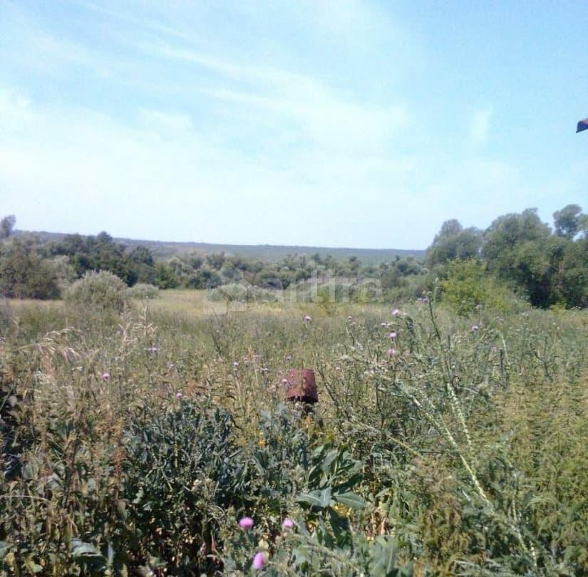 Дом, 55 м2, 15 соток, 1 эт. Похвистнево - изображение 3