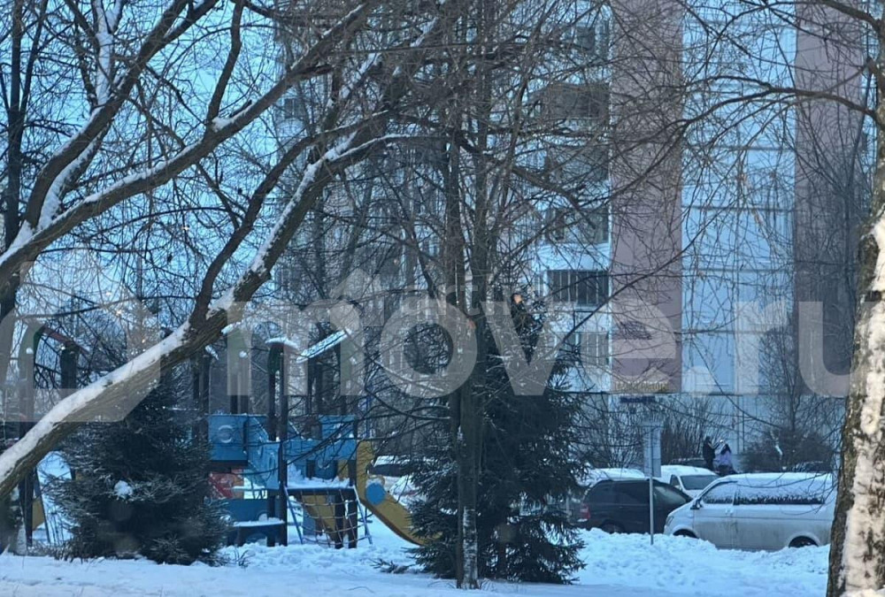 Студия, 14.5 м2, 1/9 эт. Москва - изображение 3