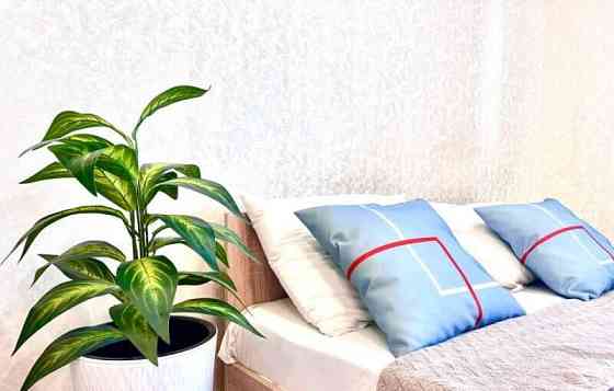 Студия, 24 м2, 7/17 эт. Домодедово