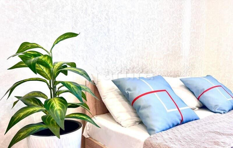 Студия, 24 м2, 7/17 эт. Домодедово - изображение 6