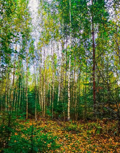 Коттедж, 150 м2 Санкт-Петербург - изображение 9