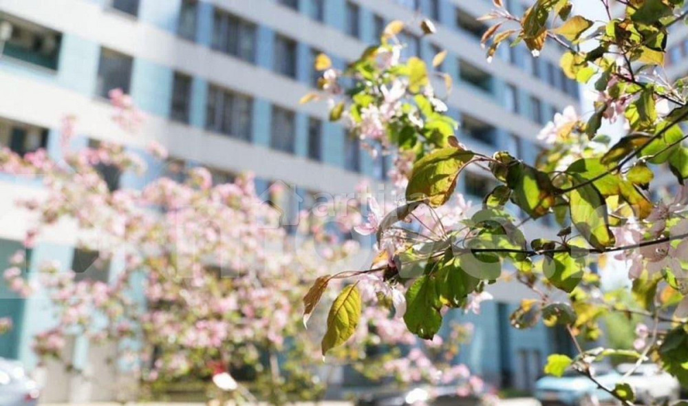 Студия, 128.5 м2, 5/18 эт. Москва - изображение 4