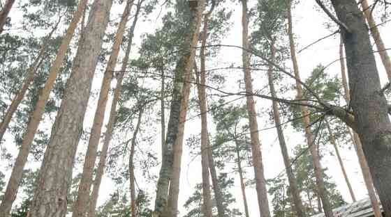 Коттедж, 180 м2, 5 соток Ильинский