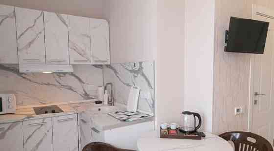 1-комн. квартира, 25 м2, 10/13 эт. Москва