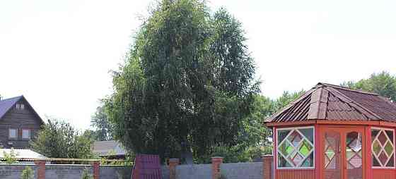 Коттедж, 350 м2, 12 соток, 3 эт. Новосибирск