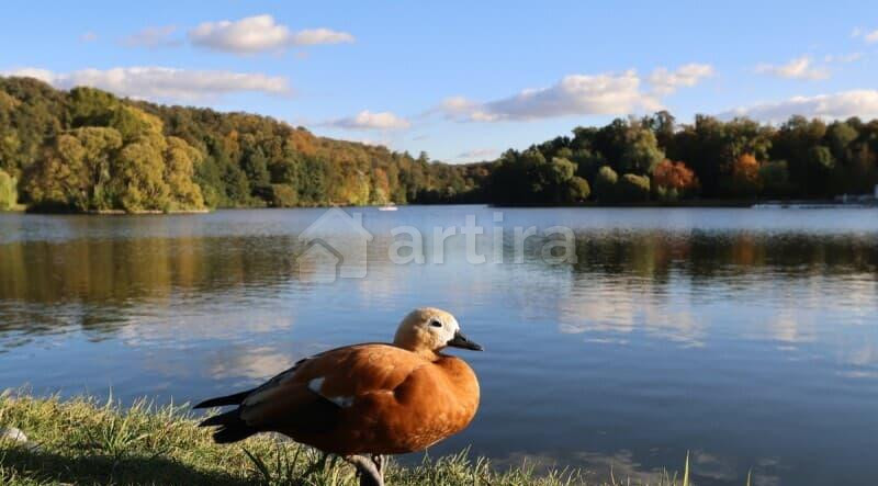 3-комн. квартира, 83 м2, 17/20 эт. Москва - изображение 20