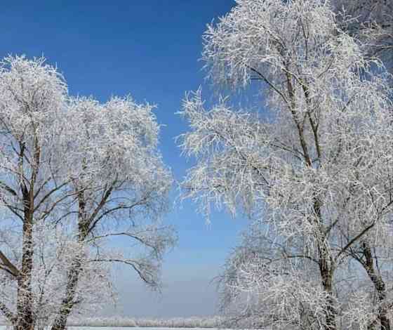 Коттедж, 200 м2, 10 соток, 2 эт. Новосибирск
