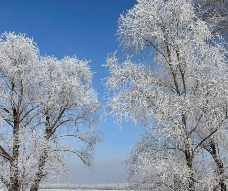 Коттедж, 200 м2, 10 соток, 2 эт. Новосибирск - изображение 2