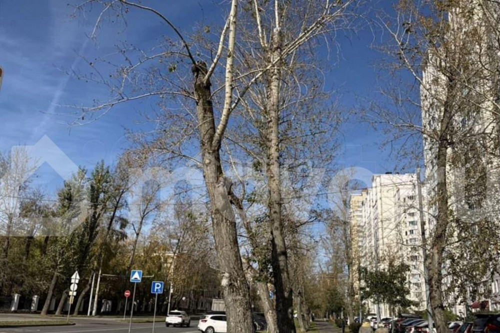 Студия, 12.9 м2, 3/4 эт. Москва - изображение 2